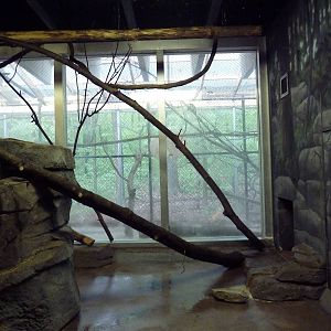 Small Mammals House - Ring-Tailed Lemur Exhibit