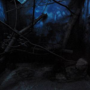 Small Mammals House - Nocturnal Section - Kinkajou Exhibit