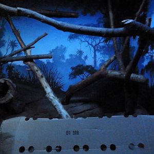 Small Mammals House - Nocturnal Section - Kinkajou Exhibit