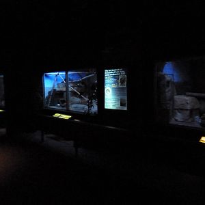 Small Mammals House - Nocturnal Section