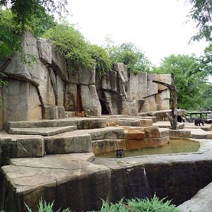 Grizzly Bear Exhibit