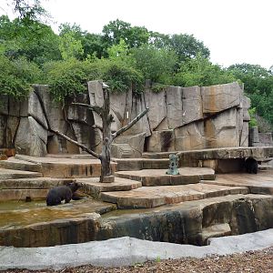 Grizzly Bear Exhibit
