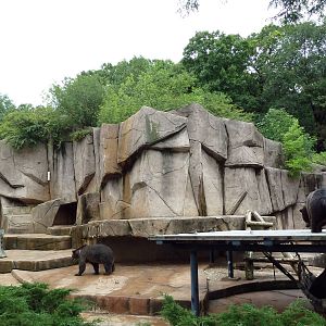 Grizzly Bear Exhibit