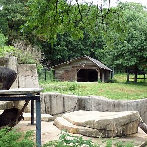 Grizzly Bear + Elk/Sandhill Crane Exhibits