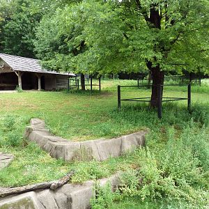 Elk/Sandhill Crane Exhibit