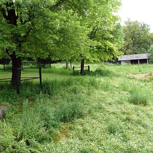 Elk/Sandhill Crane Exhibit