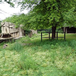 Elk/Sandhill Crane + Grizzly Bear Exhibits