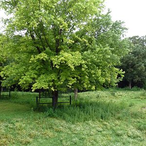 Elk/Sandhill Crane Exhibit