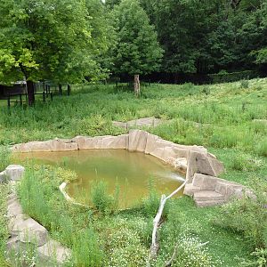 Elk/Sandhill Crane Exhibit
