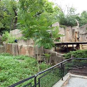 Prairie Dog + American Black Bear Exhibits
