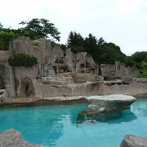 Harbour Seal + Polar Bear Exhibits