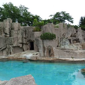 Harbour Seal + Polar Bear Exhibits