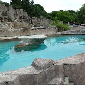 Harbour Seal + Polar Bear Exhibits