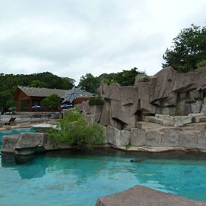 Harbour Seal Exhibit