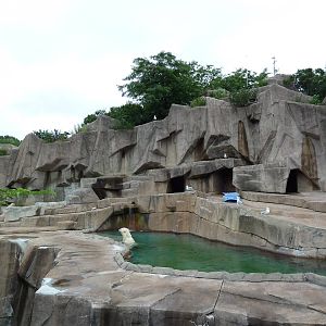 Polar Bear Exhibit
