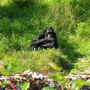 Belfast Visit 1st Sept