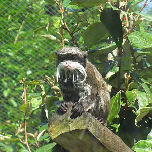 Belfast Visit 1st Sept