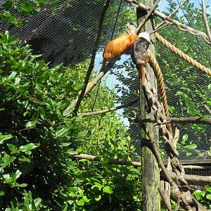 Belfast Visit 1st Sept