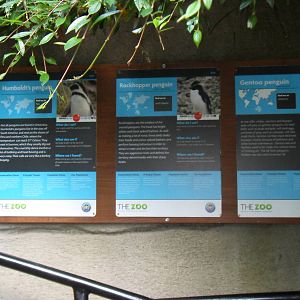 Belfast Visit 1st Sept