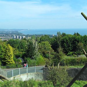 Belfast Visit 1st Sept