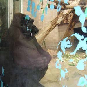 Belfast Visit 1st Sept