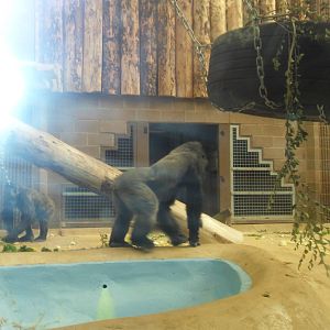 Belfast Visit 1st Sept