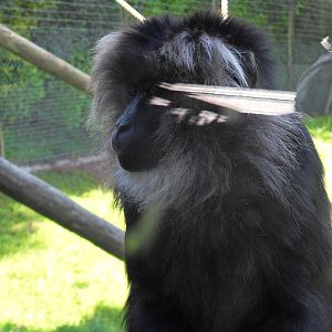 Belfast Visit 1st Sept