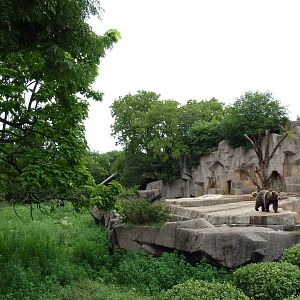 Moose + Grizzly Bear Exhibits