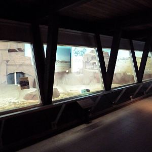 Australian Section -Indoor Kangaroo/Emu Holding Area