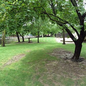 Australian Section - Kangaroo/Emu Yard