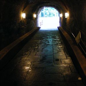 leaving the big cat house