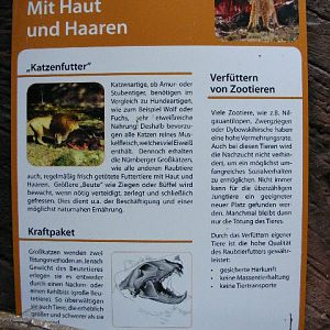 feeding zoo animals to big cats