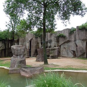 Giraffe Exhibit