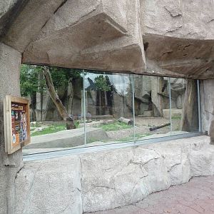 Amur Tiger Exhibit