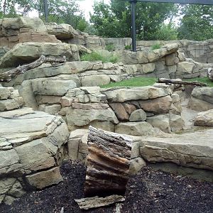 Snow Leopard Exhibit