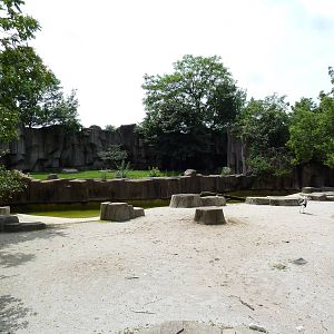 Damara Zebra/Waterbuck/Eland/Marabou Stork/Ostrich + Lion Exhibits