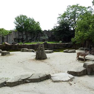 Damara Zebra/Ostrich/Eland/Waterbuck/Marabou Stork Exhibit
