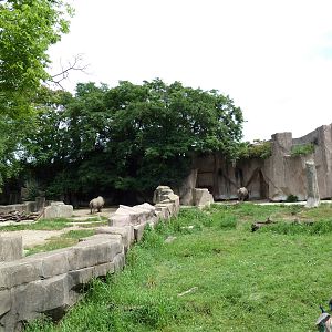 Black Rhino Exhibits