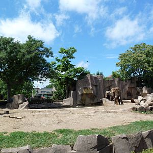 African Elephant Exhibit