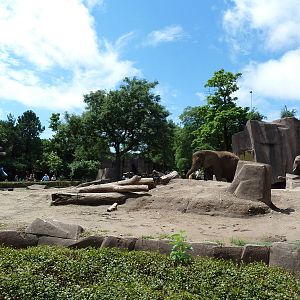 African Elephant Exhibit