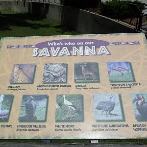 African Savanna - Signage