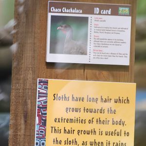 Signage example from new South American walkthrough