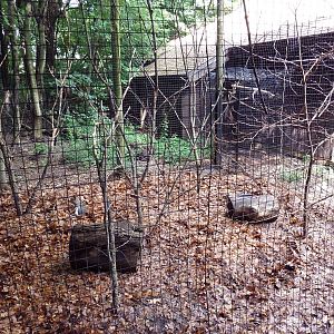 Discovery Center - Mara/Military Macaw Exhibit