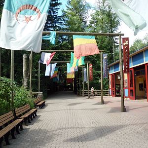 Wild Africa - Avenue of Flags