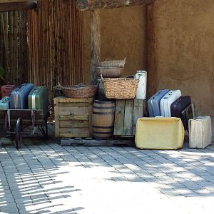 Wild Africa - Zuri National Park Headquarters