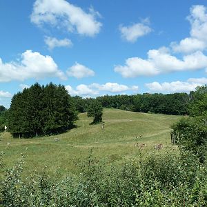Wild Africa - 18-Acre Savanna
