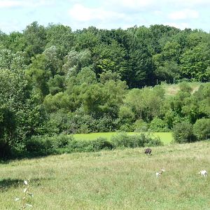 Wild Africa - 18-Acre Savanna