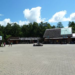 Wild Africa - Zuri National Park Headquarters