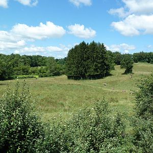 Wild Africa - 18-Acre Savanna