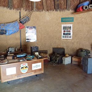 Wild Africa - Zuri National Park Entrance Hut